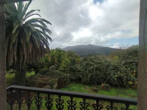 Vistas