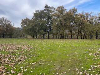 Jardín