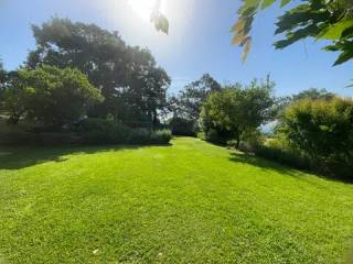 Jardín