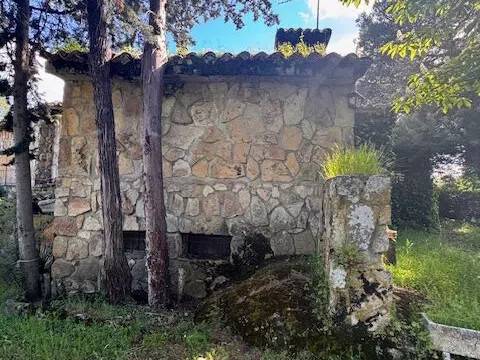 Jardín