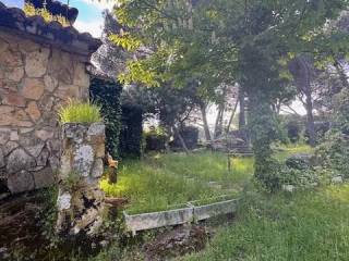 Jardín