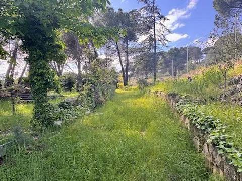Jardín