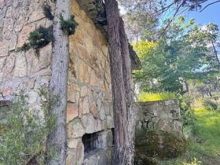 Jardín
