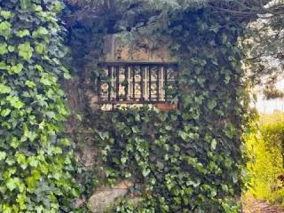Jardín