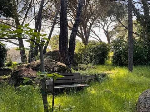 Jardín