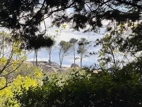 Jardín