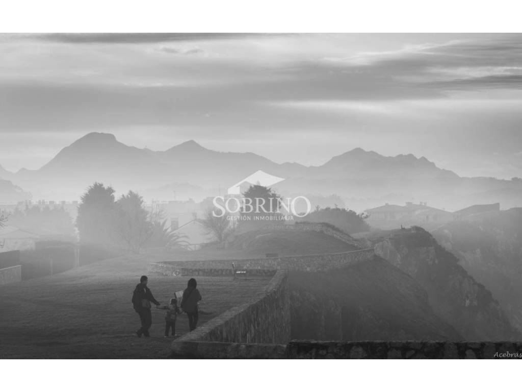 Vistas