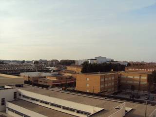 Vistas