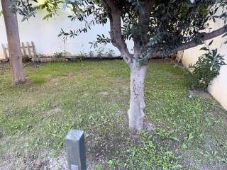 Jardín