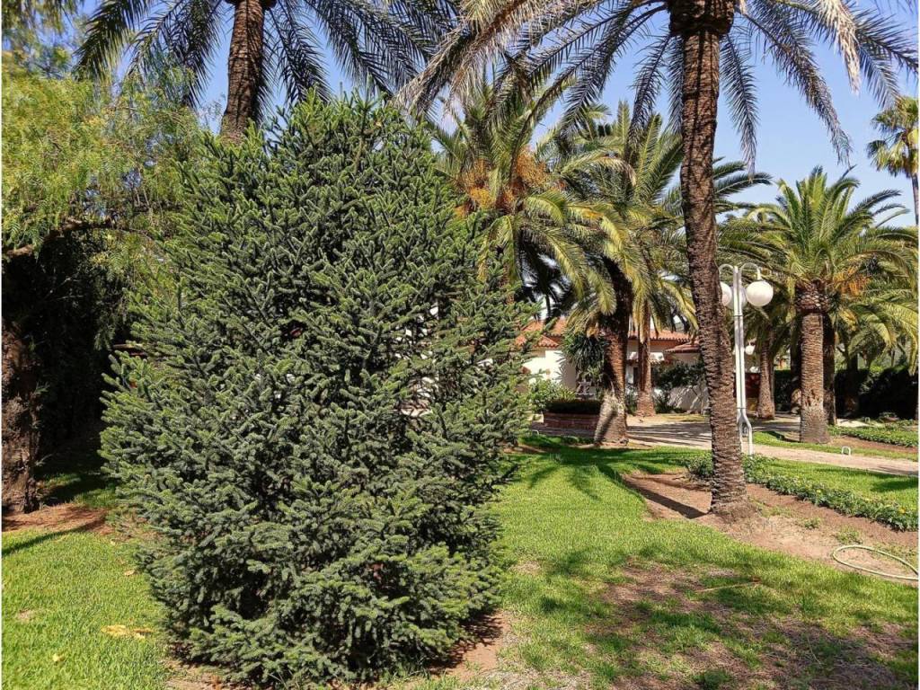 Jardín