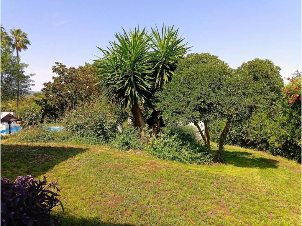 Jardín