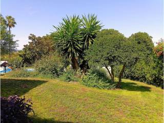 Jardín