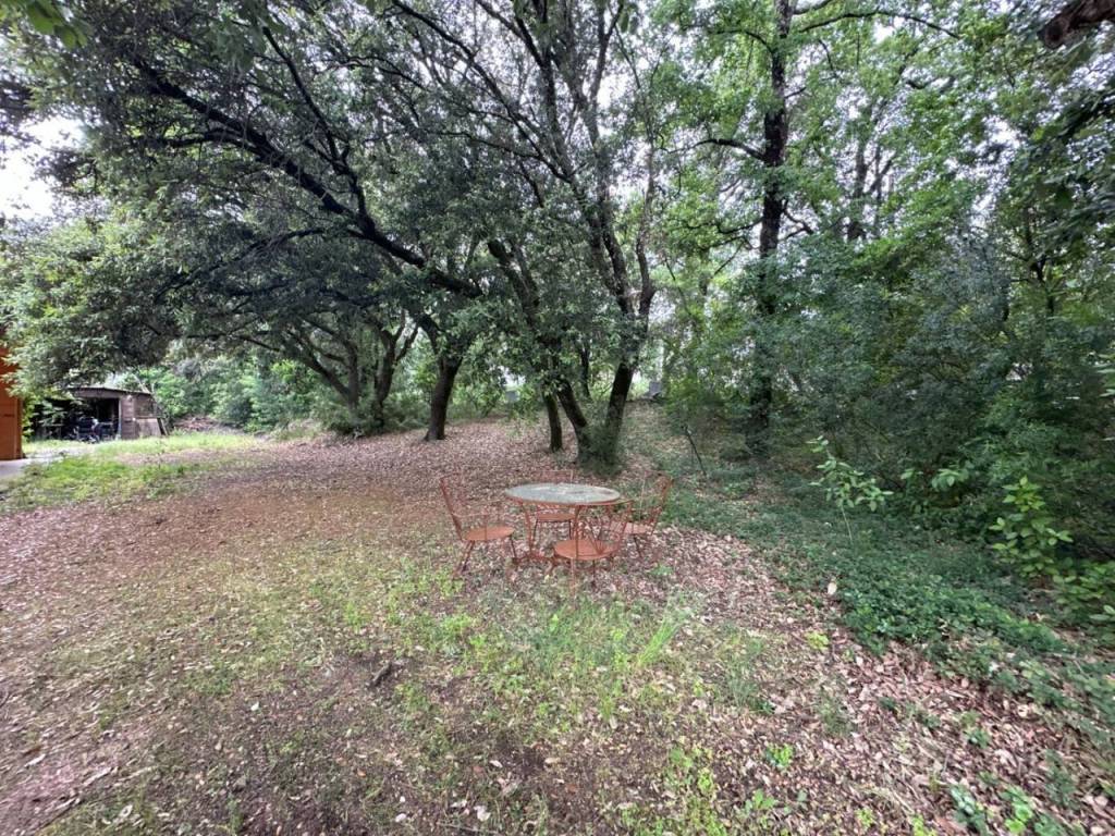 Jardín