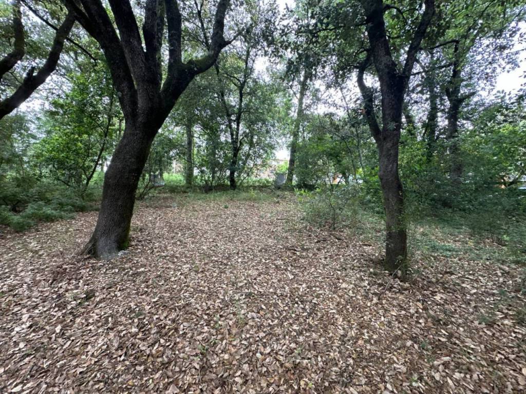 Jardín