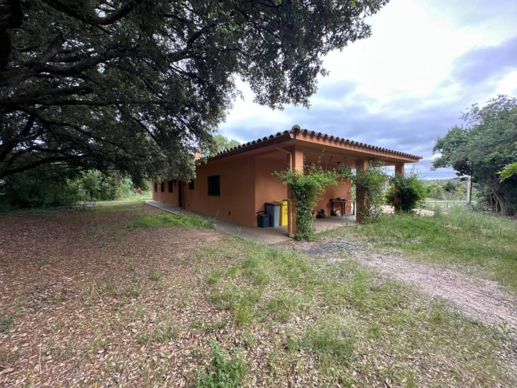 Jardín