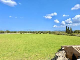 Vistas