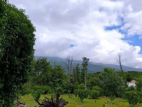 Jardín