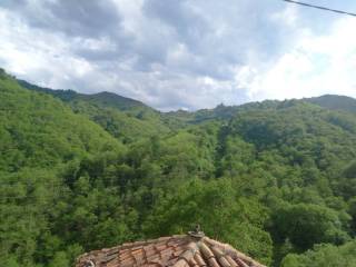 Vistas