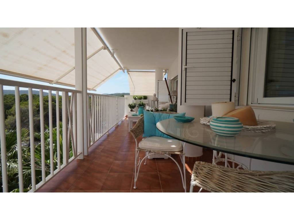 Terraza