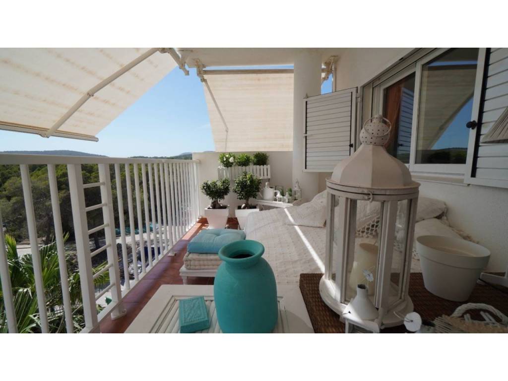 Terraza
