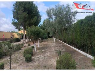 Jardín