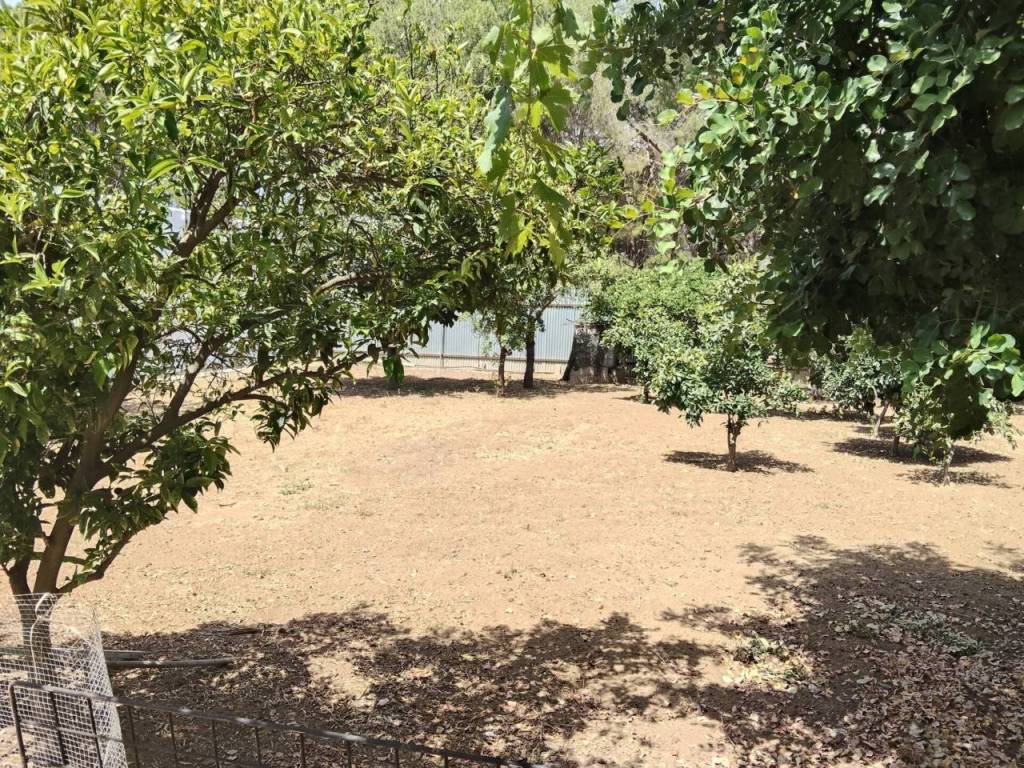 Jardín