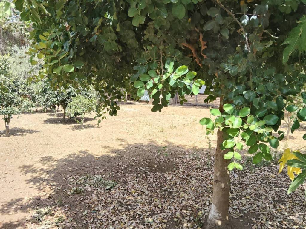 Jardín