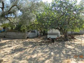 Jardín