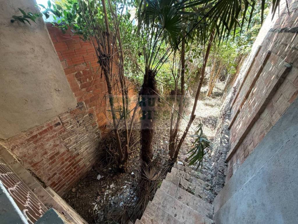 Jardín
