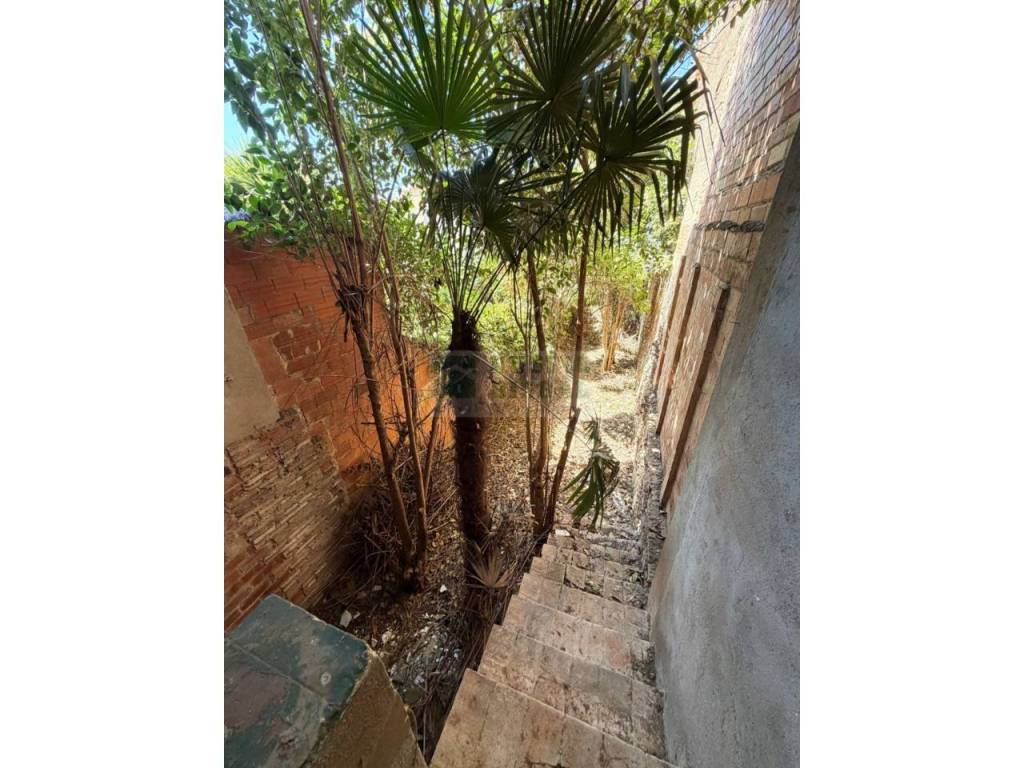 Jardín