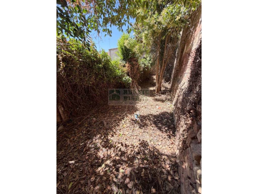 Jardín