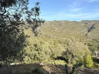 Vistas