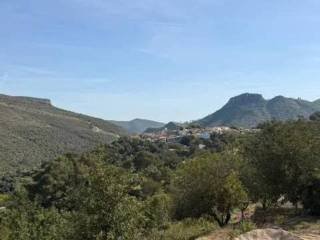 Vistas