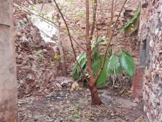 Desconocido