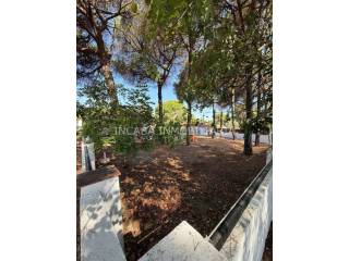 Jardín