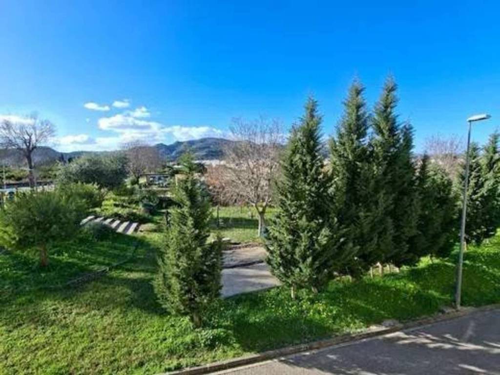 Jardín