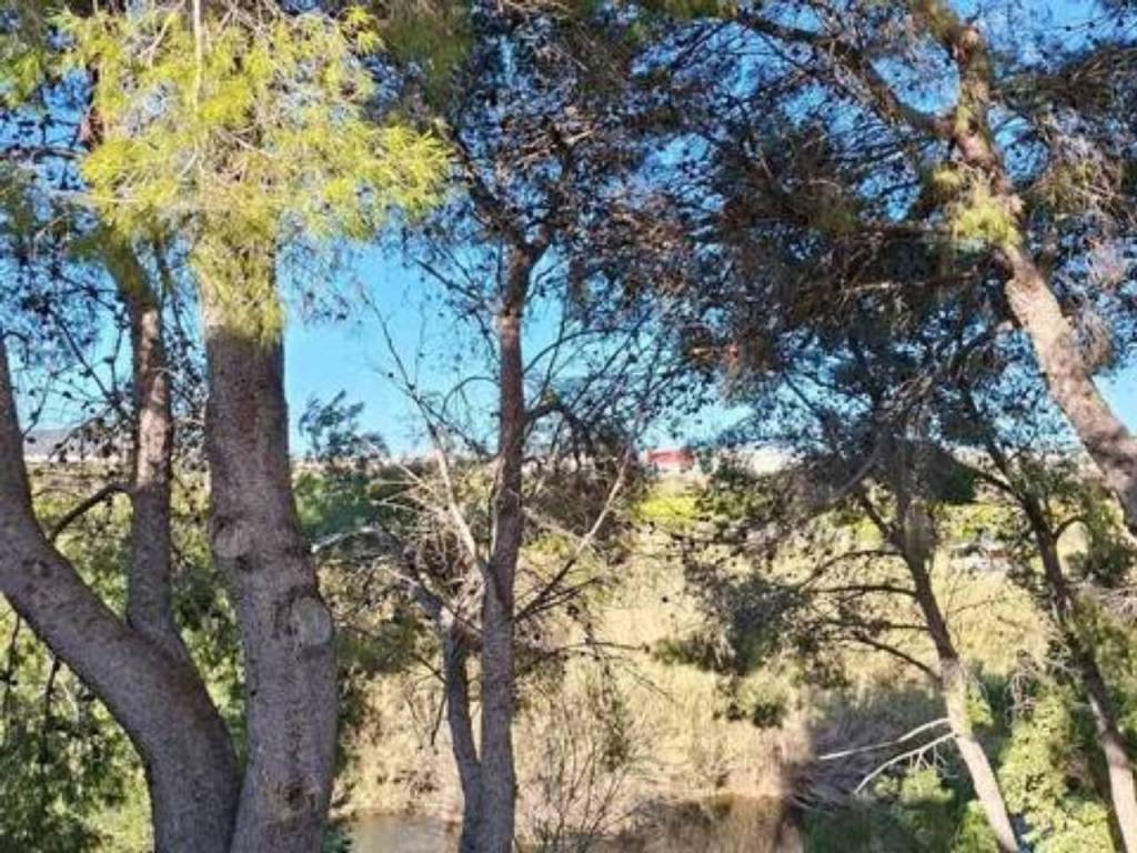 Jardín