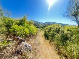 Jardín