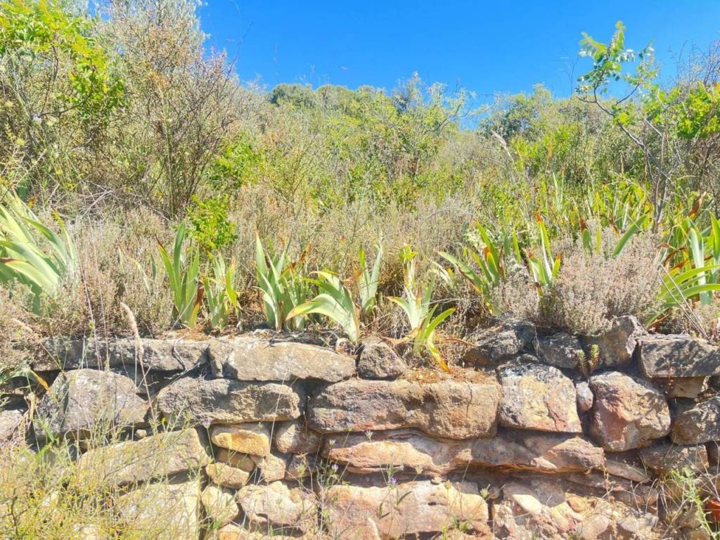 Jardín