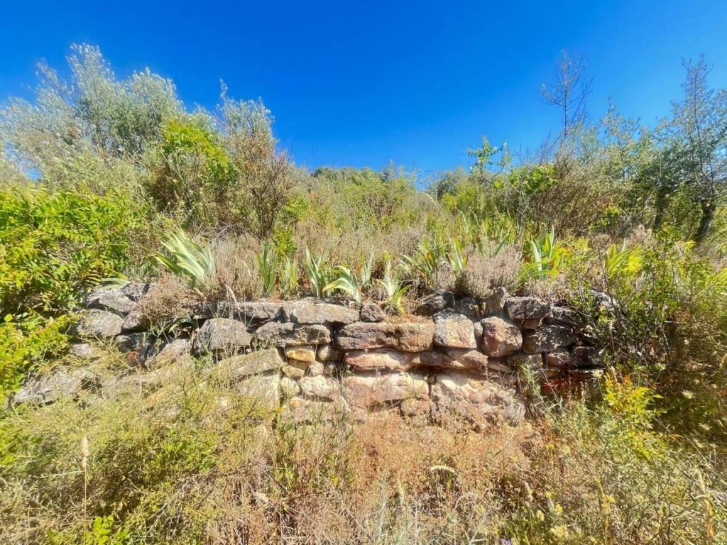 Jardín