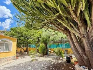 Jardín