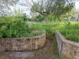 Jardín