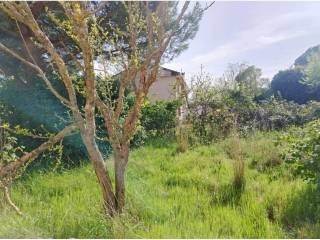Jardín