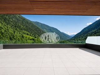 Vistas