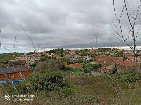 Terreno