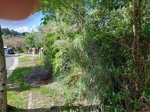 Jardín