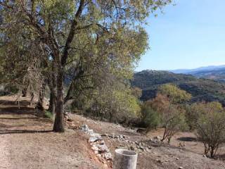 Vistas