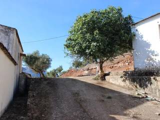 Jardín