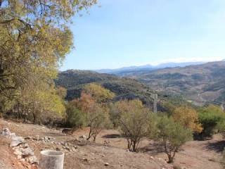 Vistas