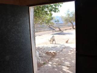 Entrada/salida